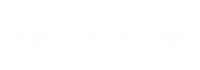 Logo-Kintasur-Bus-Blanco